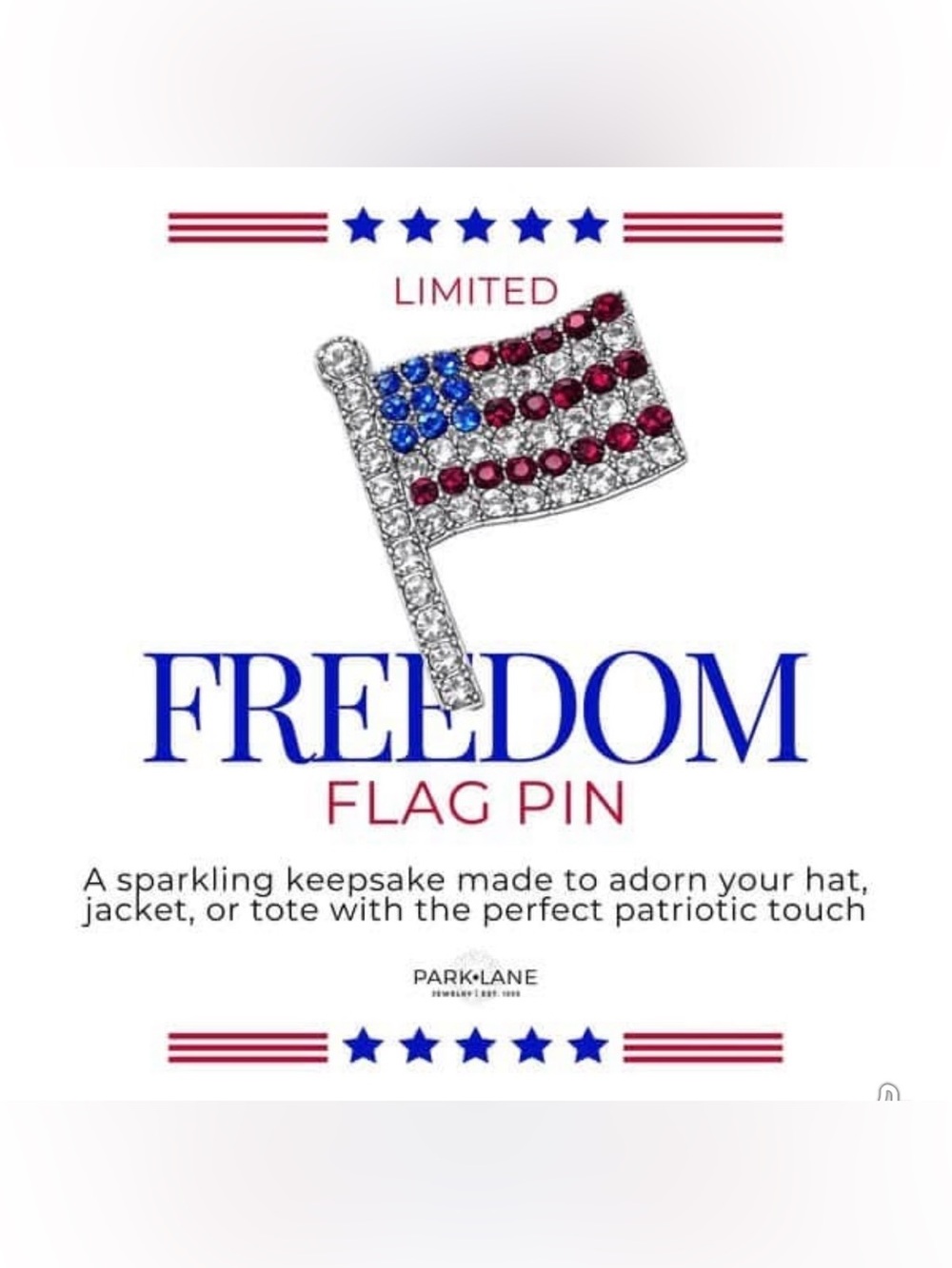 Park Lane “Freedom” Flag Pin! BNIB! Limited Edition!